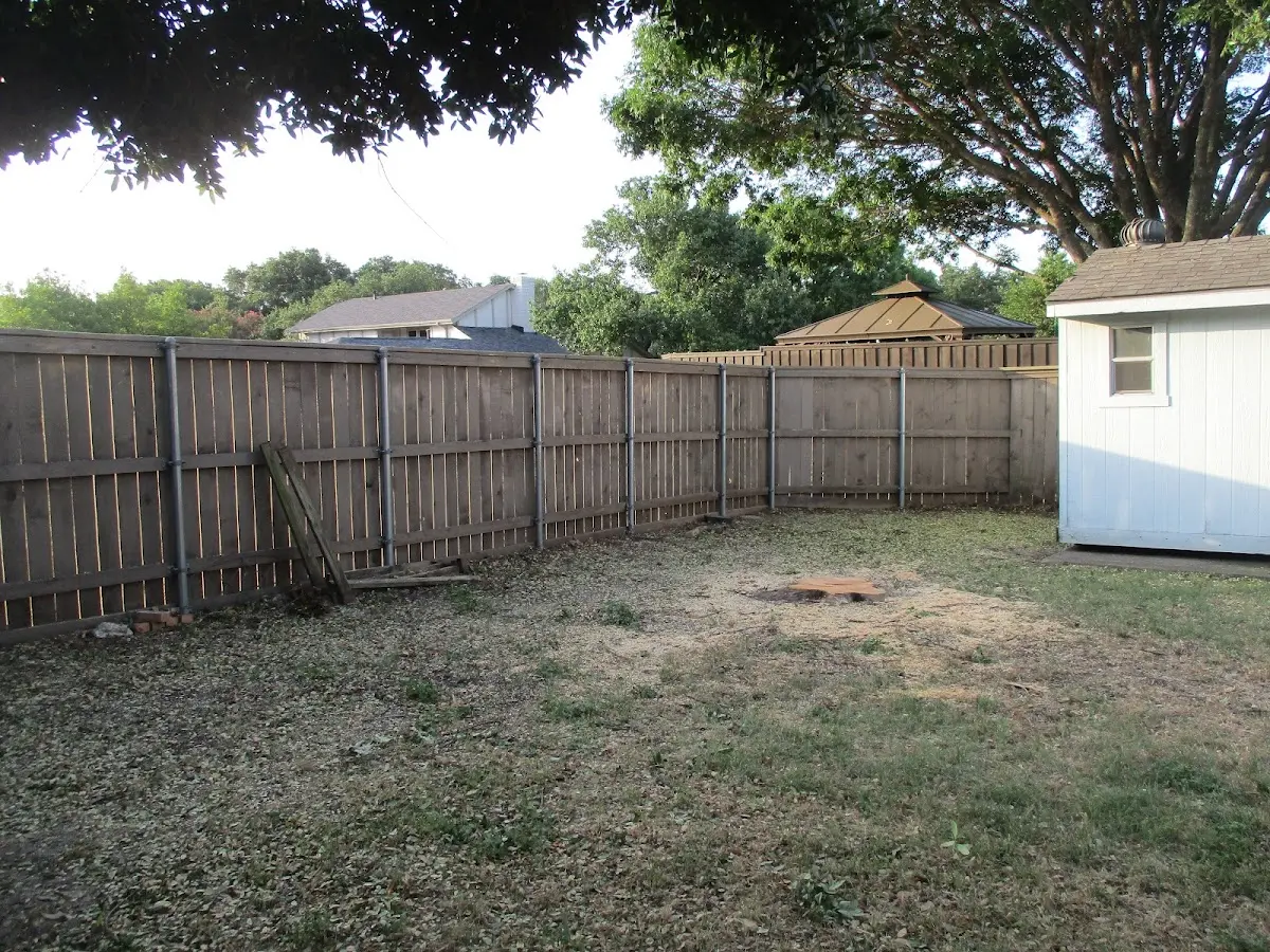 Cleared yard after professional tree removal in Bridgeville