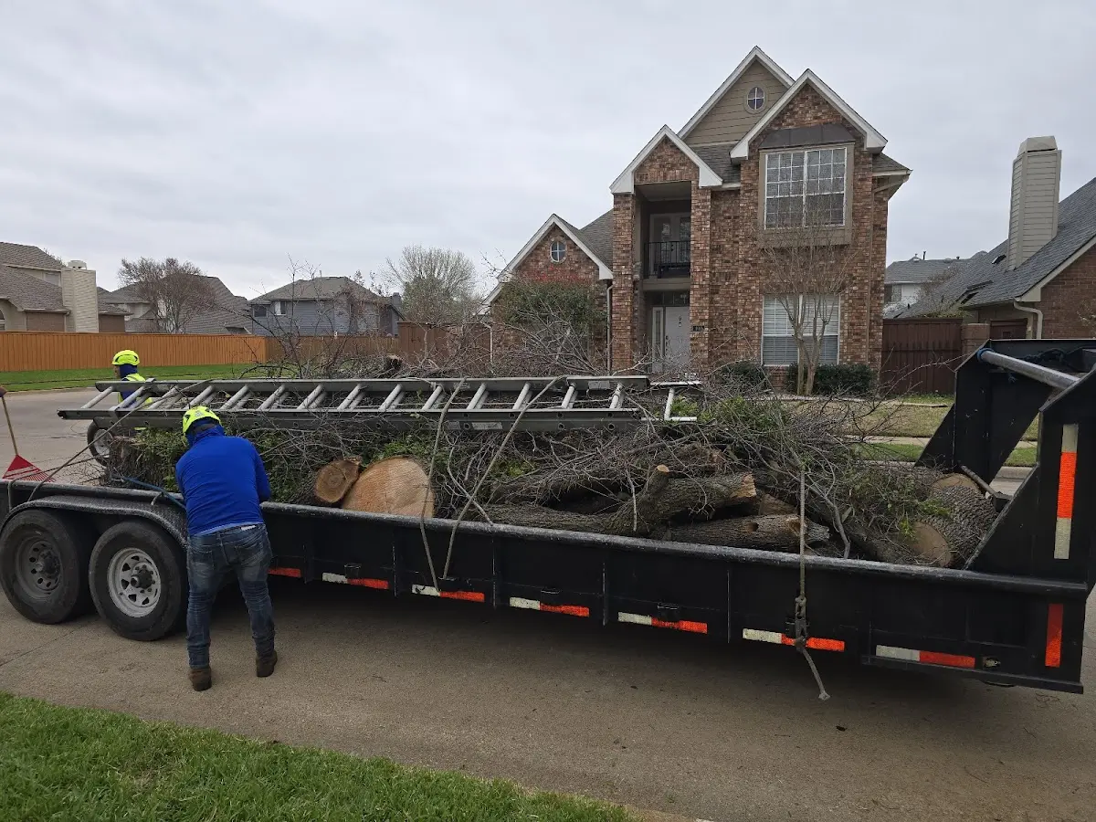 Expert Crown Reduction with proper safety equipment in Bridgeville